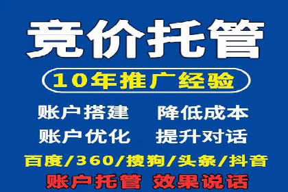 某行业sem代运营推广公司成功案例分析